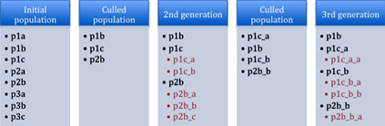 Population growth showing three generations