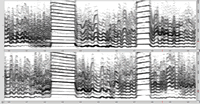 Figure<u> </u>11. Sonogram of an excerpt from Audio example 30.