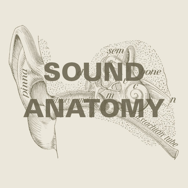 Sound and Anatomy